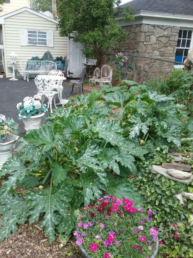 Hanover House Bed And Breakfast Niagara Falls Eksteriør bilde